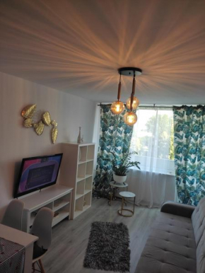 Apartament Wiola